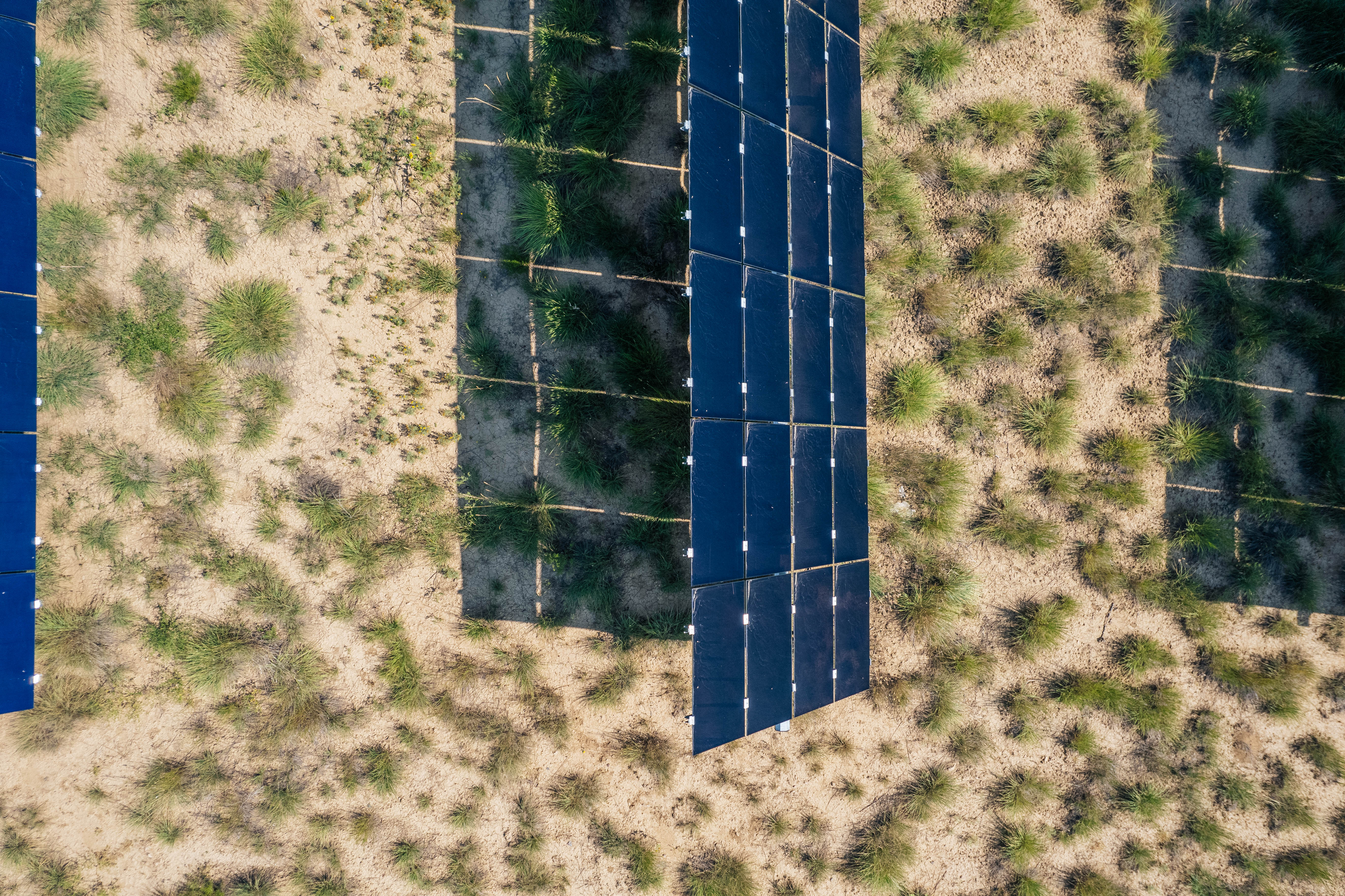 Lafayette Solar Gardens